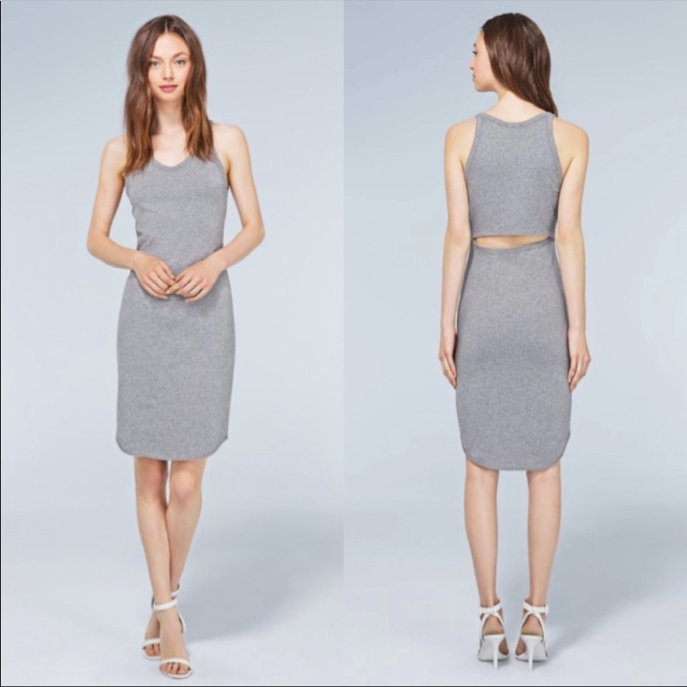 NWT Wilfred Free Yasmin Dress - Grey XXS
